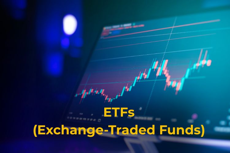diversified investment portfolio