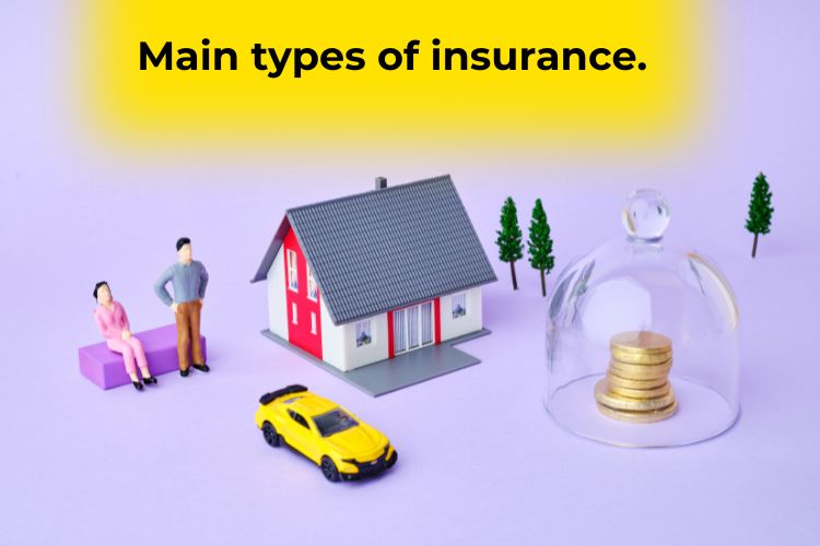 insurance