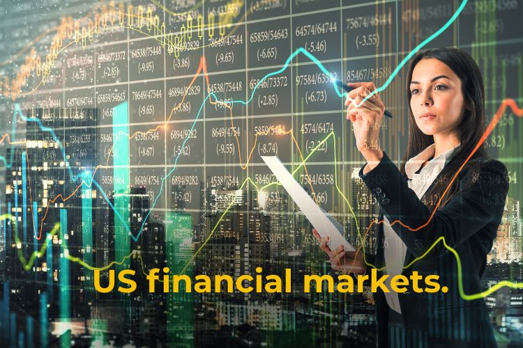 invest in the U.S. stock market